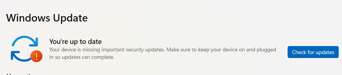 Issue with microsft update on windows 11 64 bit - Microsoft Q&A
